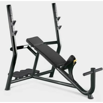 TechnoGym Element+ Series Inclined Bench