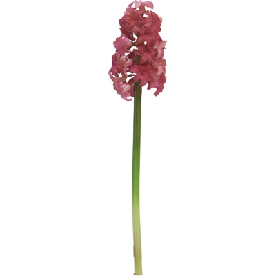 Hyacint - hyacinthus Plouye beauty/růžový 47cm