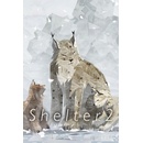 Shelter 2