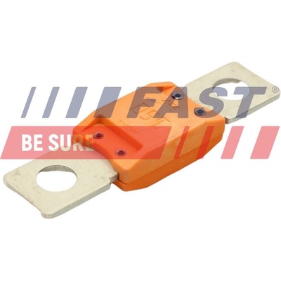 Pojistka FAST FT83403
