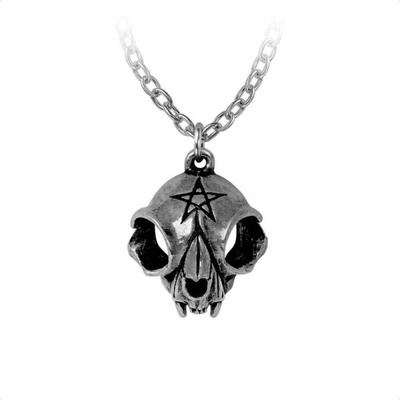 Alchemy gothic ланец ALCHEMY GOTHIC - Forever My Friend - P938