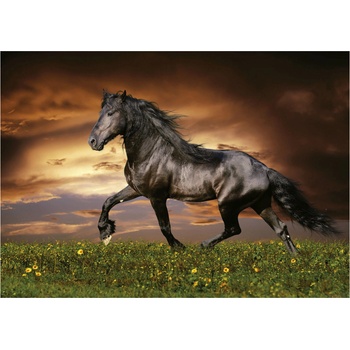 Image 1 of Educa - Puzzle Trotting Horse - 1 000 piese