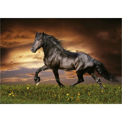 Educa - Puzzle Trotting Horse - 1 000 piese