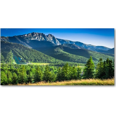 Foto-obraz fotografie na skle Skokanský mostík Tatry 100x50 cm