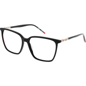 HUGO BOSS HG 1381 807