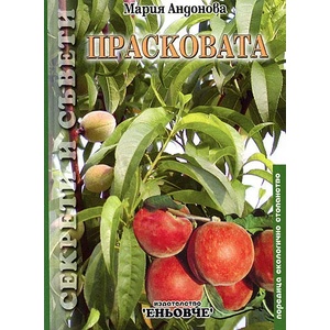 Прасковата (2004)