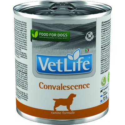 Vet Life Natural Dog Convalescence 300 g
