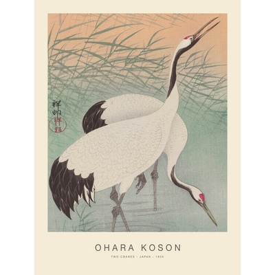 autor Plagát, Obraz - Two Cranes (Special Edition) - Ohara Koson, 30 × 40 cm