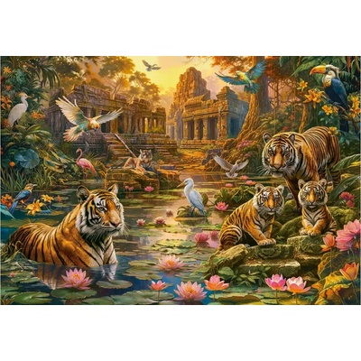 Castorland - Puzzle Tigers Paradise - 1 000 piese