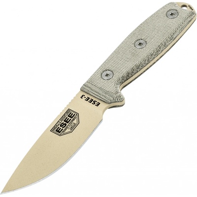 ESEE-3-PM-MB-DT