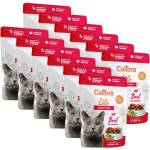Calibra Cat Life Възрастен говеждо в сос 12 x 85 г