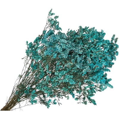 Stabilizované kvety Limonium sinensis 100g - tyrkysové