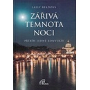 Zářivá temnota noci
