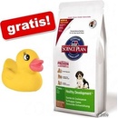 Hill's Canine Puppy Lamb & Rice 12 kg