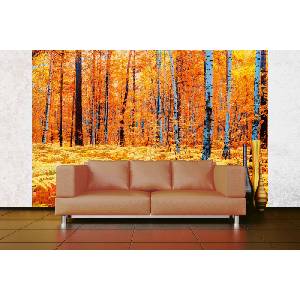 DIMEX ART Самозалепваща се флизелинова фототапета жълта есенна гора 375 x 250 см