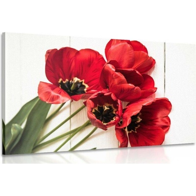 Obraz rozkvetlé červené tulipány - 90x60