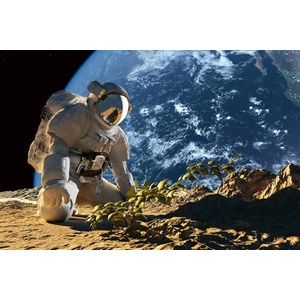 DIMEX ART Флизелинов фототапет астронавт 375 x 250 см