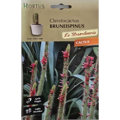 Hortus Кактус тип Лисича опашка (Cleistocactus bruneispinus)