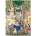 Magnolia - Puzzle In the Forest of Books - 1 000 piese