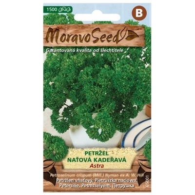 MORAVOSEED Petržel naťová kadeřavá ASTRA