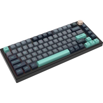 VGN Professional Gaming Mechanical Keyboard N75 RGB Caribbean Blue Power Purple Switches Tactile (N75-GB-PP)