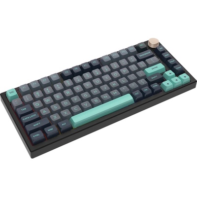 VGN Professional Gaming Mechanical Keyboard N75 RGB Caribbean Blue Power Purple Switches Tactile (N75-GB-PP)