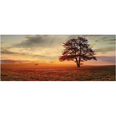 MORIMPEX Obraz plátno Strom II, 50x120 cm