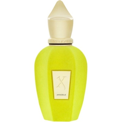 Xerjoff Amabile parfumovaná voda unisex 100 ml tester