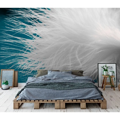 Art gift Фототапет Нежен пух