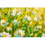 DIMEX ART Флизелинов фототапет картина - поле с маргаритки 375 x 250 см