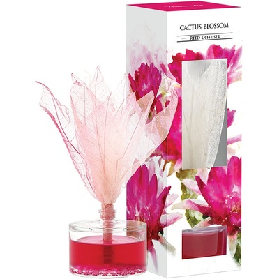 Bispol aróma difuzér Cactus Blossom 50 ml