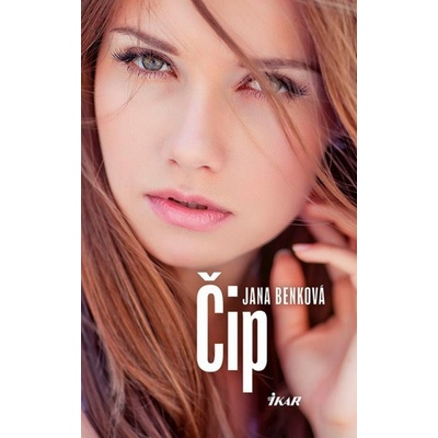 Čip
