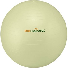 Ecowellness Ball 65 cm