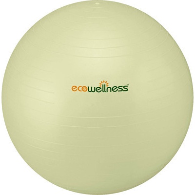 Ecowellness Ball 65 cm