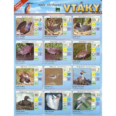 Naše chránené vtáky. Stručný prehľad - Príroda – Hledejceny.cz