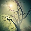 RWAKE: REST CD