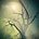 RWAKE: REST CD