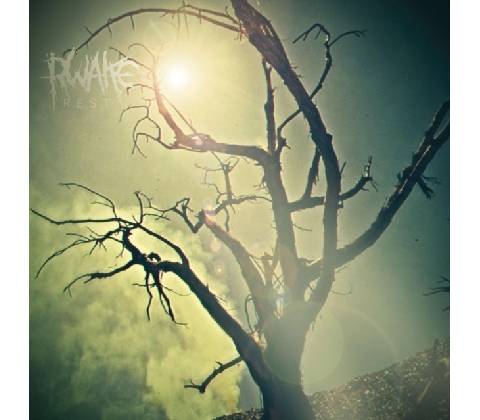 RWAKE: REST CD