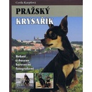Pražský krysařík