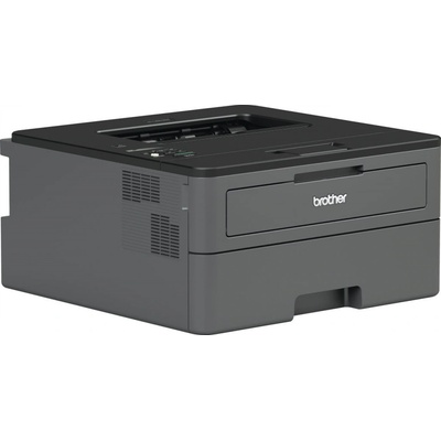 Brother HL-L2460DNYJ1