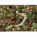 Cobble Hill Zahrada sukulentů 1000 dielov