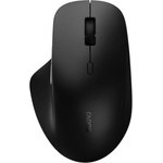 Rapoo M50 Plus (220693)