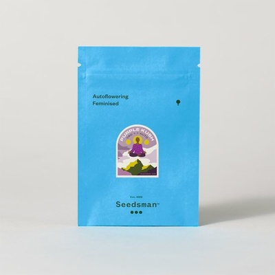 SEEDSMAN Purple Kush CBD semienka neobsahujú THC 3 ks