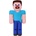 Minecraft Steve