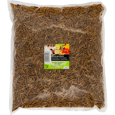 UGF sušený moučný červ 1 kg – Zboží Mobilmania