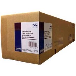 Epson C13S042134