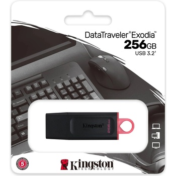 Kingston DataTraveler Exodia 256GB DTX/256GB