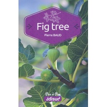 FIG TREE PAS A PAS