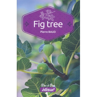 FIG TREE PAS A PAS