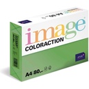 Coloraction A4 80 g Tmavě zelená 100 ks